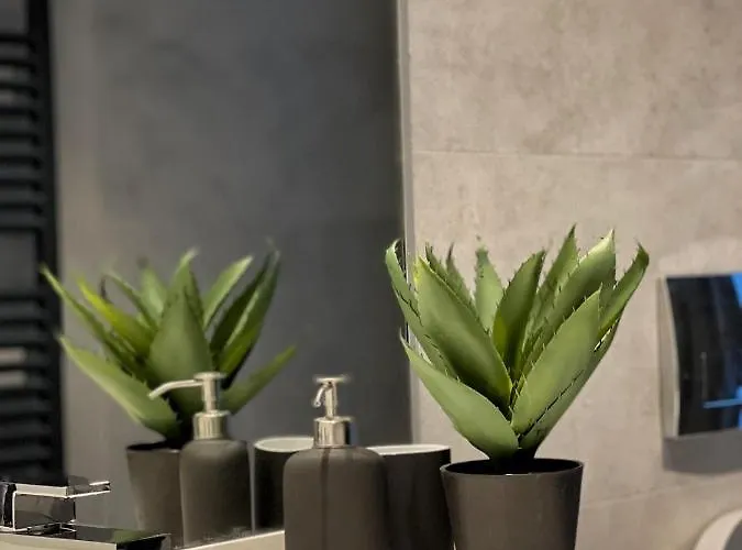 Hotel Luxury By One Mamaia